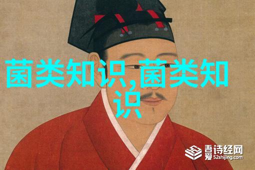 蛋鸡脱肛症的治疗