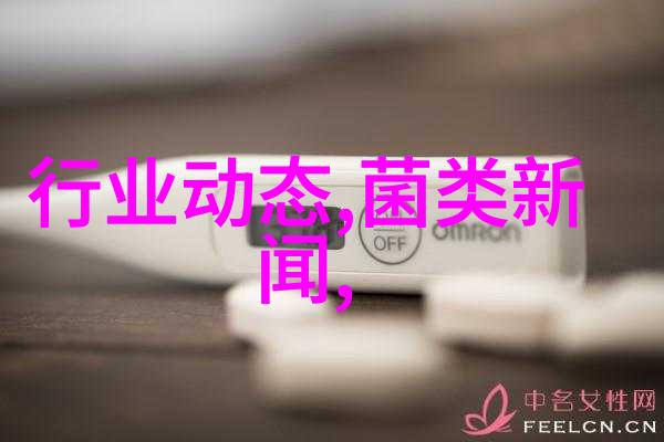 番鸭新品种-余姚番鸭