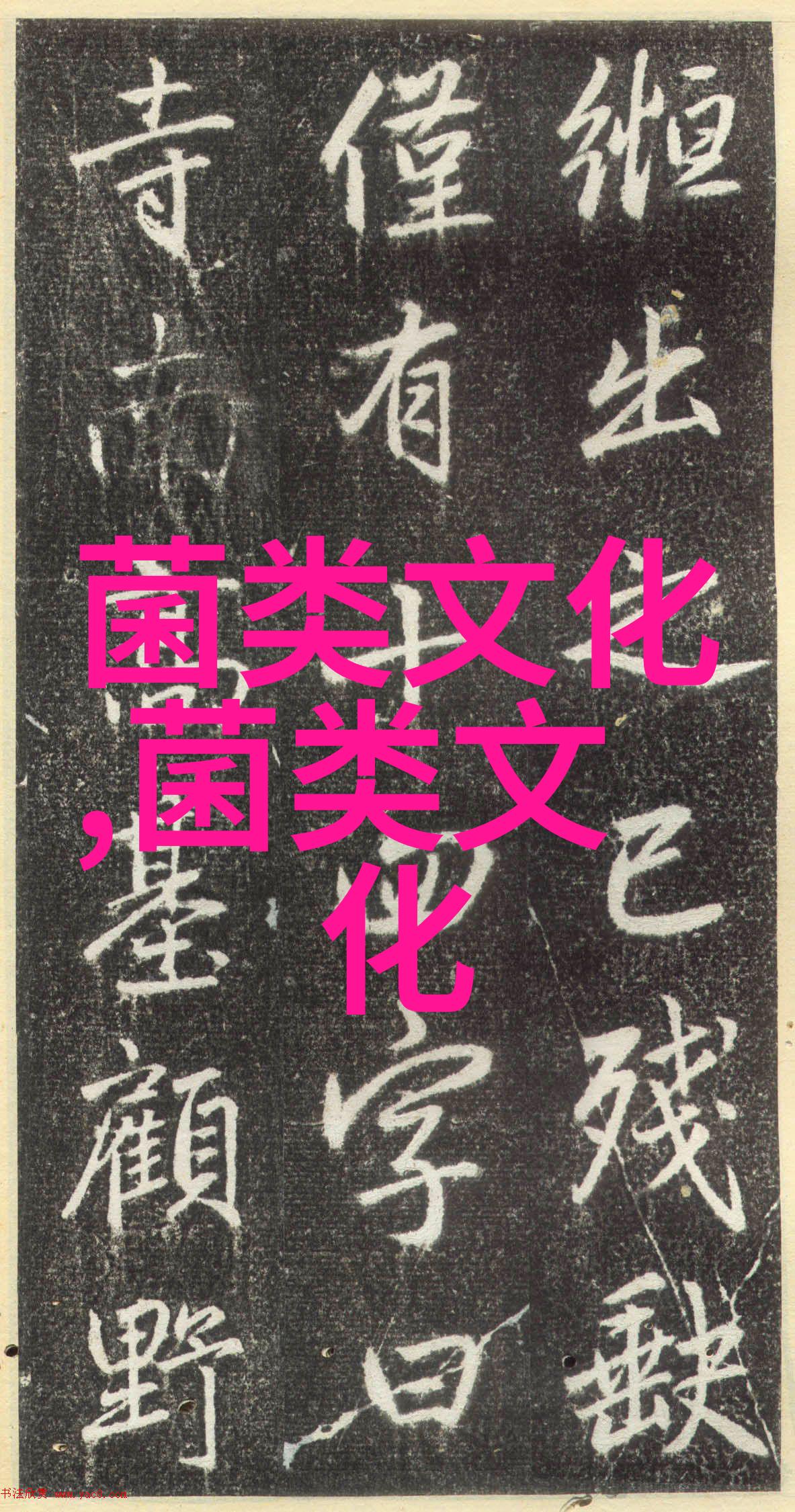 关于青年鸭的圈养管理技巧