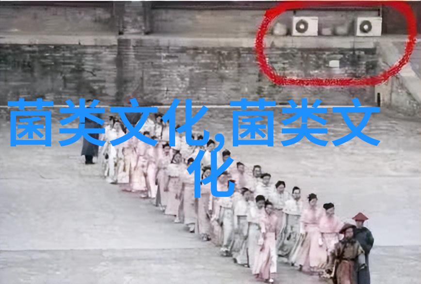 关于雏鸭脱腱症的防治
