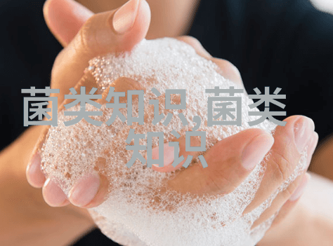 自配鸡饲料注意的问题