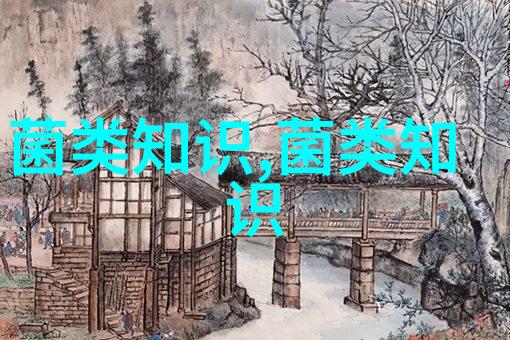 良种鸭品种介绍--高邮鸭