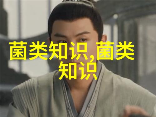 蛋鸡疲劳症预防方法及注意事项
