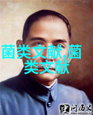不断夯实农业基础 加力推进乡村振兴解读2025年