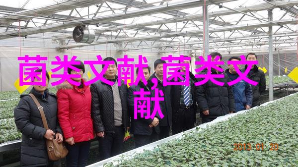 陕西柞水总投资2亿元 西部食用菌交易交流中心项目填补市场空白