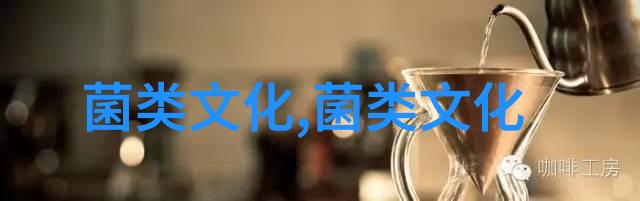 产蛋鸡禁用五类药