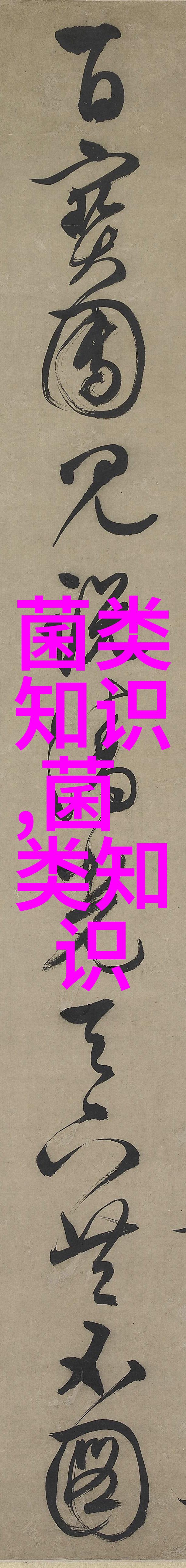 蛋鸡育雏期防病措施