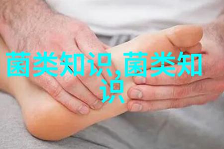 上海市金山区廊下镇食用菌产业蓬勃发展