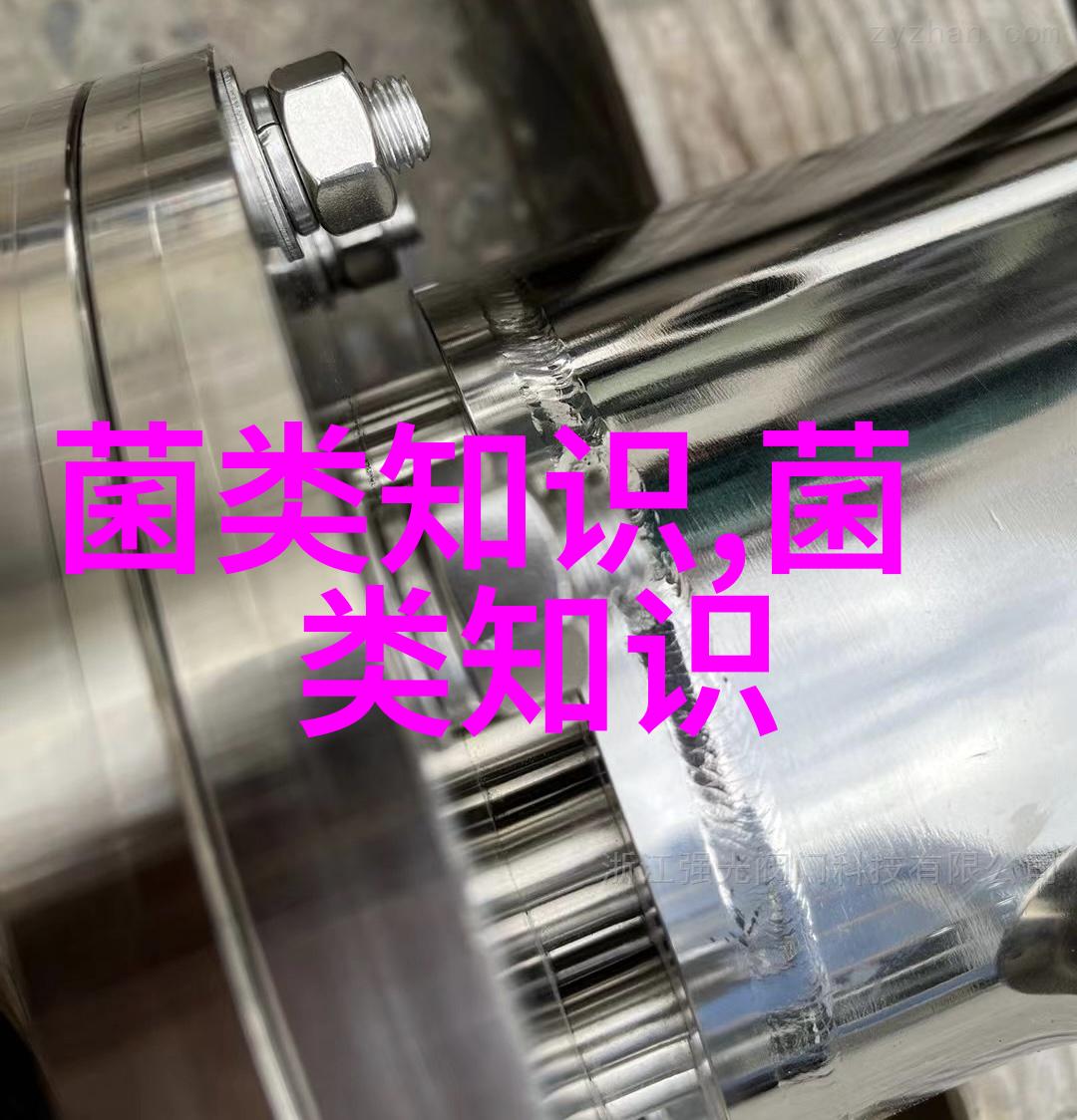 良种鸭品种介绍