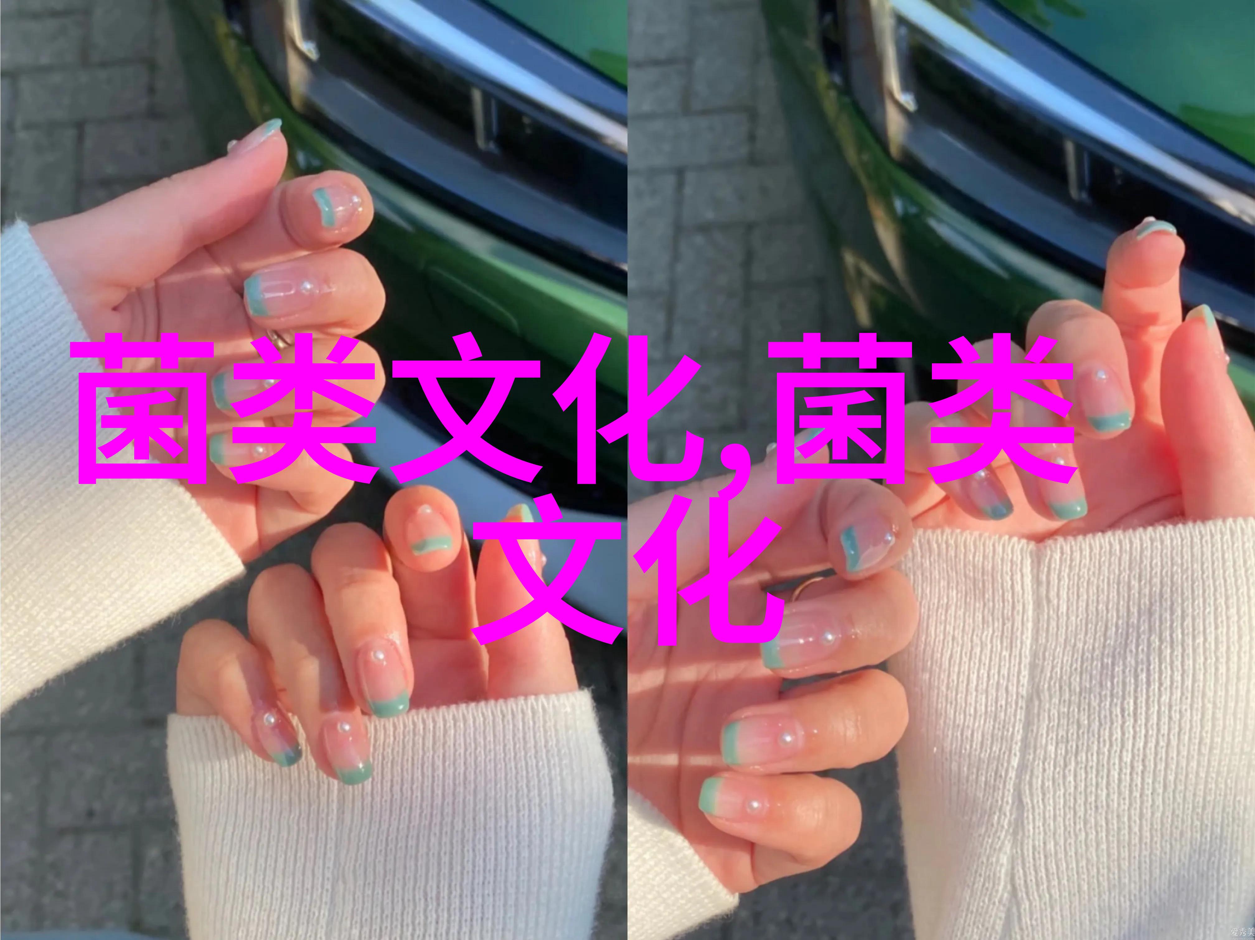 产蛋鸡补钙窍门