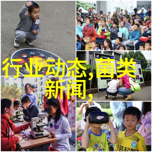 笼子养鸭试验成功