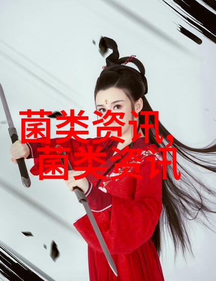 肉鸭密集旱养新技术