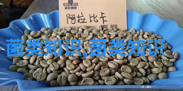 蛋鸡在饲养管理技术上应注意的问题