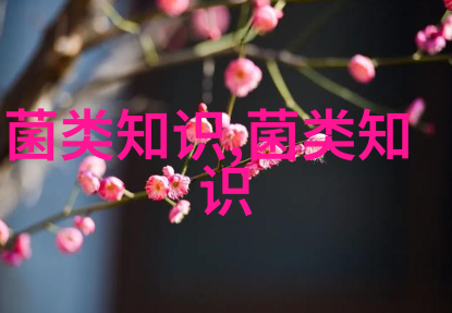 蛋鸡周年饲养管理作业历