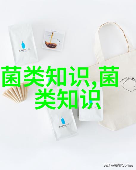 珙县桑枝食用菌一体化项目加速推进