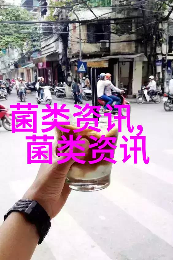 肉鸭传染性浆膜炎的诊治与防治