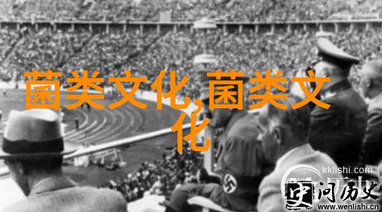 产蛋鸭慢性呼吸道病的诊治