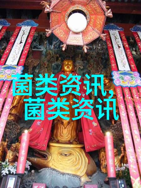 肉鸡生产档案管理的内容