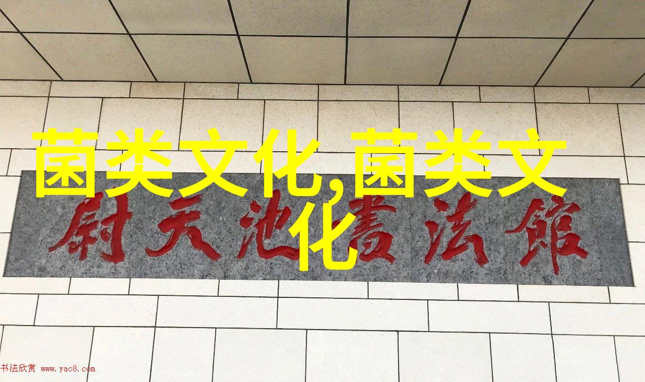 关于鸭种蛋的运输方法