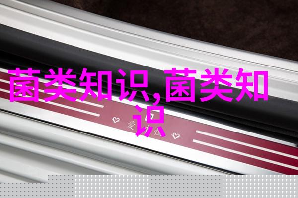 肉鸭防疫的关键管理措施