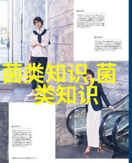 蛋鸡补充光照注意事项