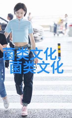 何种饲料配方能让鸭子高产鸭蛋