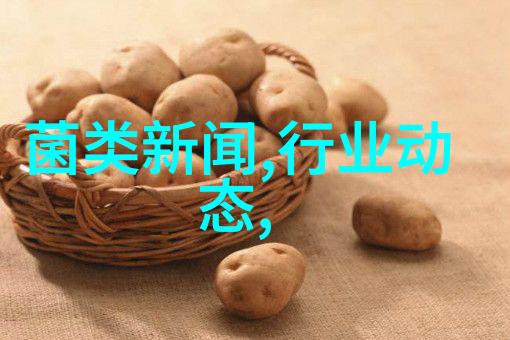 目前鸡传染性法氏囊病的流行特点及防制对策