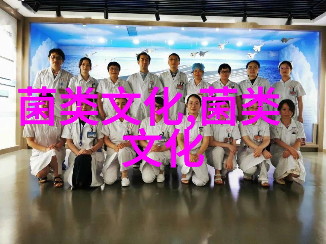 产蛋鸡用药六忌