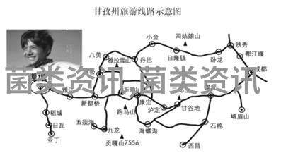 肉鸭的中草药催肥法