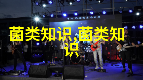 蛋鸡产蛋期 关注四问题