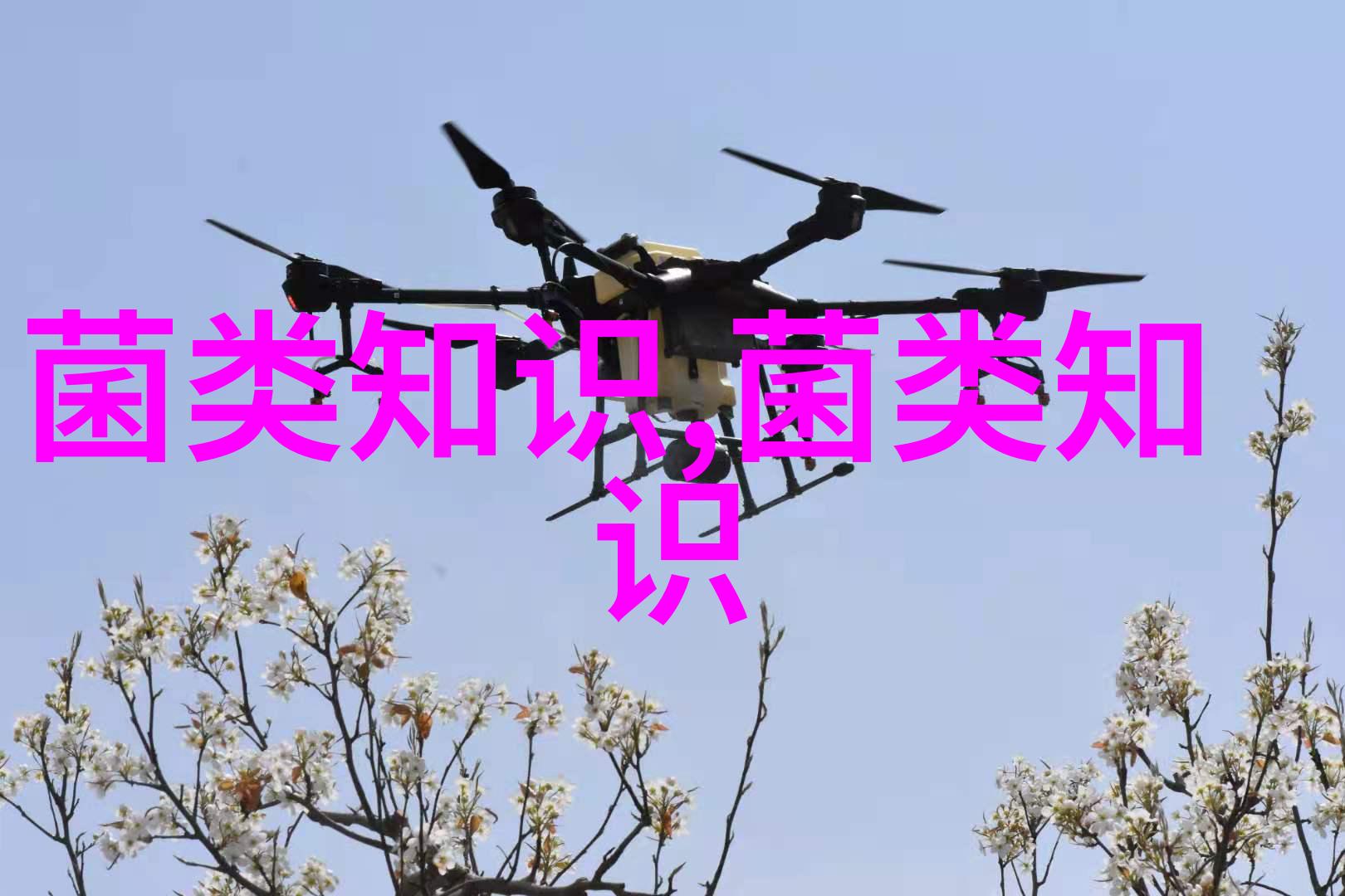 蛋鸡脂肪肝出血综合征的病因研究进展