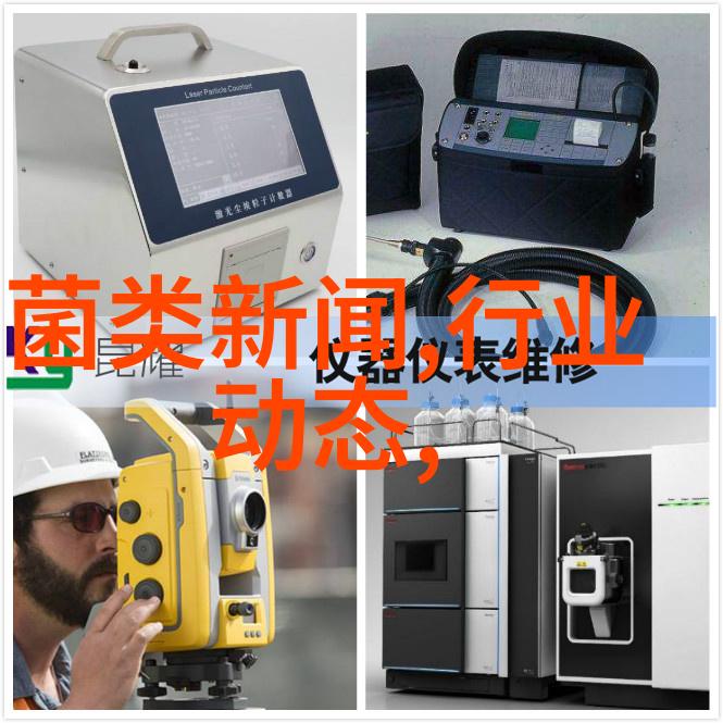 番鸭饲养管理技术