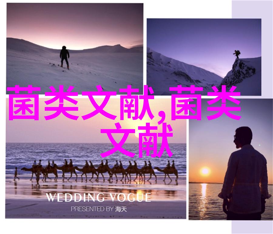 樱桃树下种蘑菇正宗东北元蘑在山东青岛试种成功