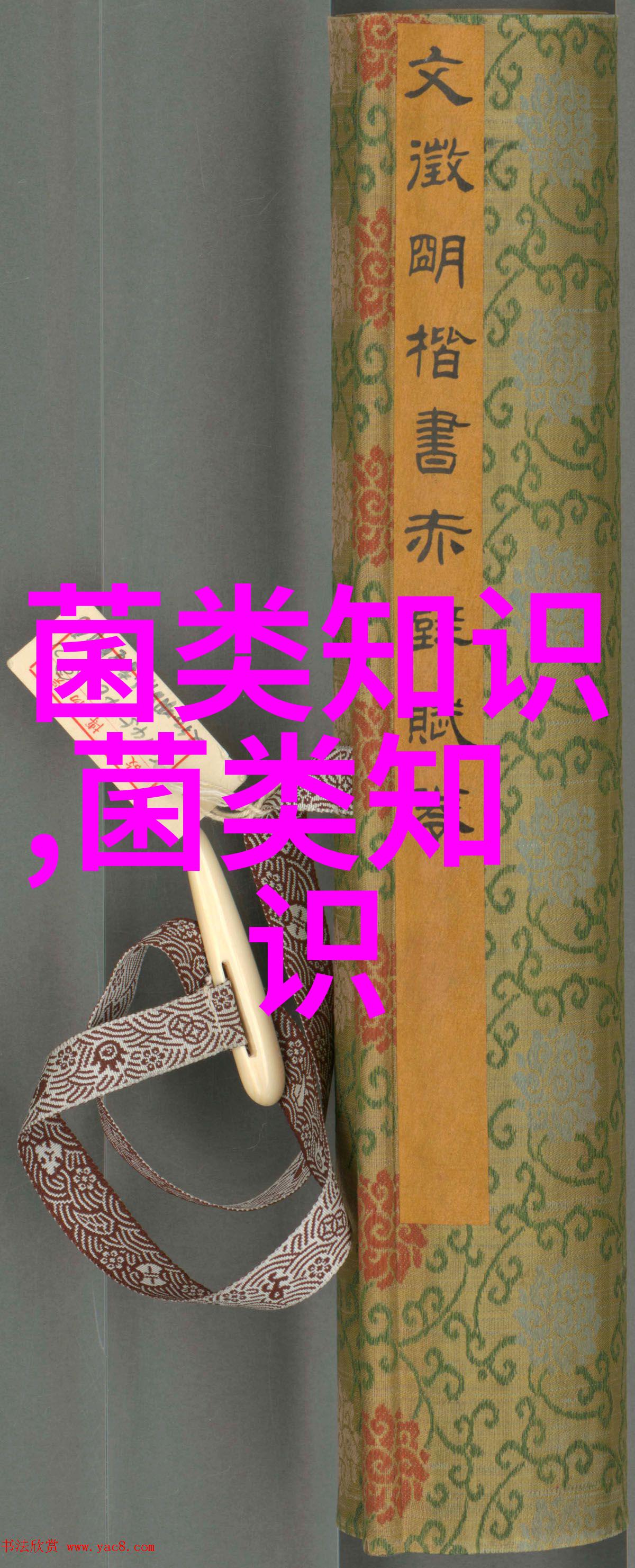 蛋鸡冬季高产技术要点