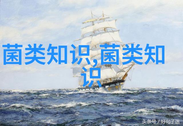 蛋鸡传染性鼻炎的防治