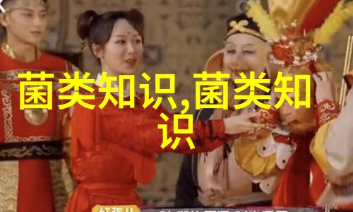 灵璧食用菌产业焕发乡村振兴新蘑力