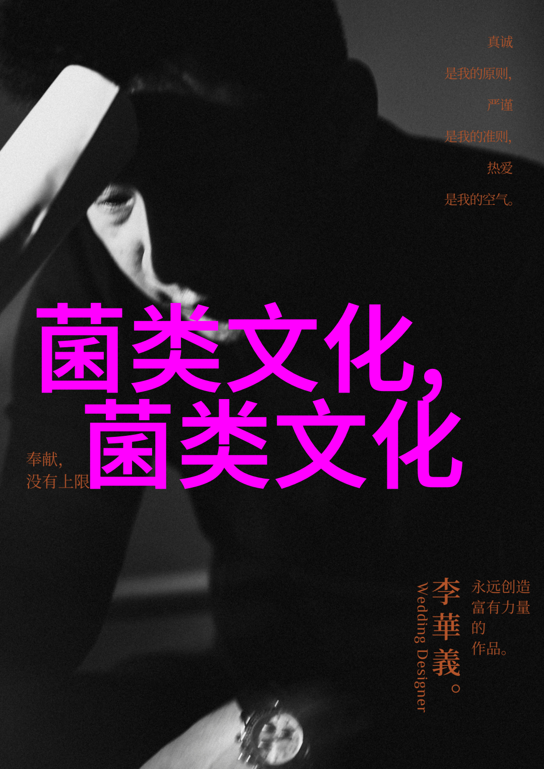 京郊鹅鸭瘟的诊疗报告