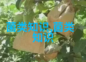 北京中央批发市场