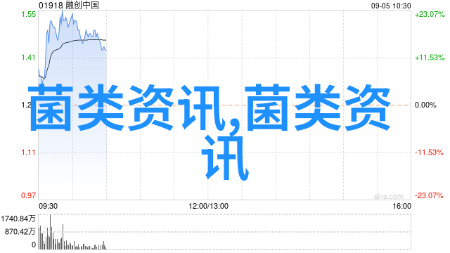 肉鸡饲养过程中不可忽视细节问题