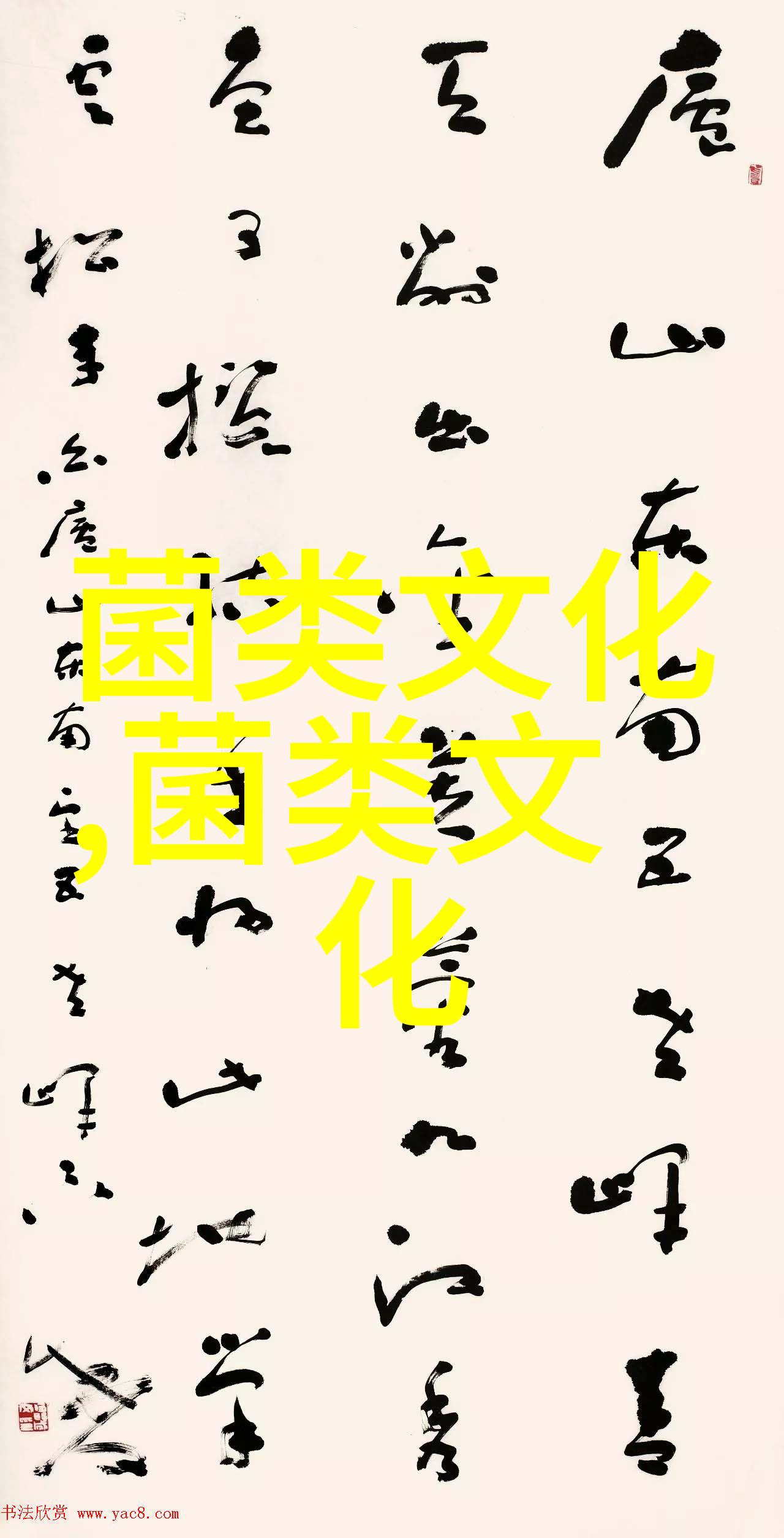 关于鸭种蛋的保存方法