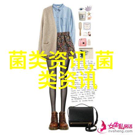 肉鸡饲养要预防的传染病