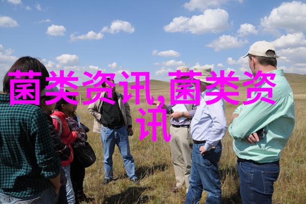 肉鸭养殖如何节约饲料成本