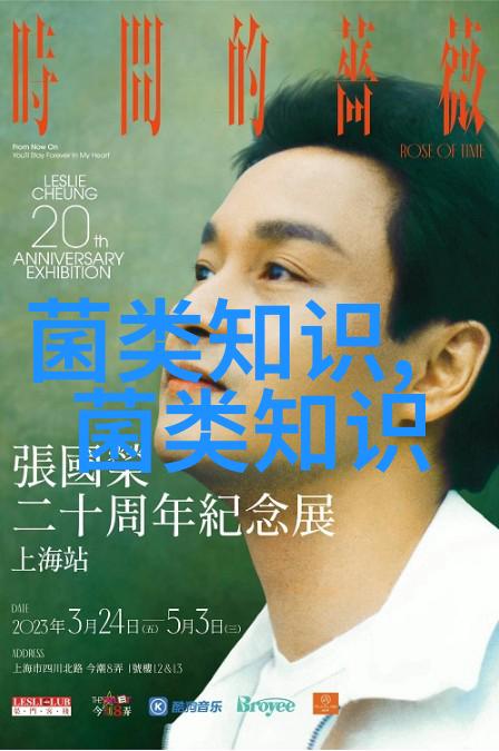 收获智慧菇 延伸产业链