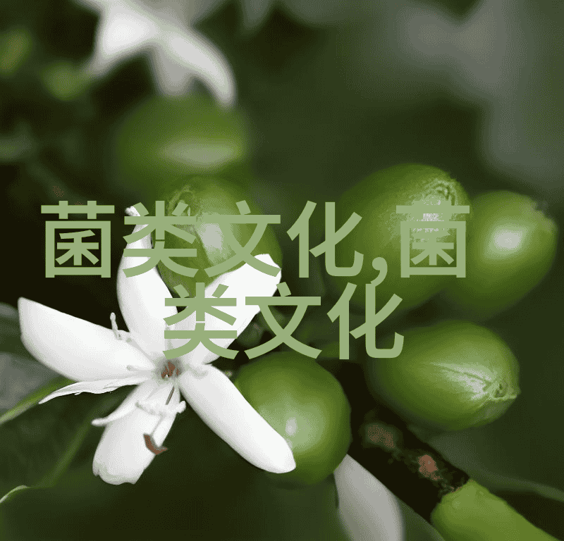 免疫失败鸡群大面积病发新城疫