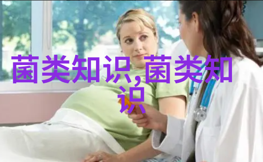 致富肉用鸭的饲养技术要点
