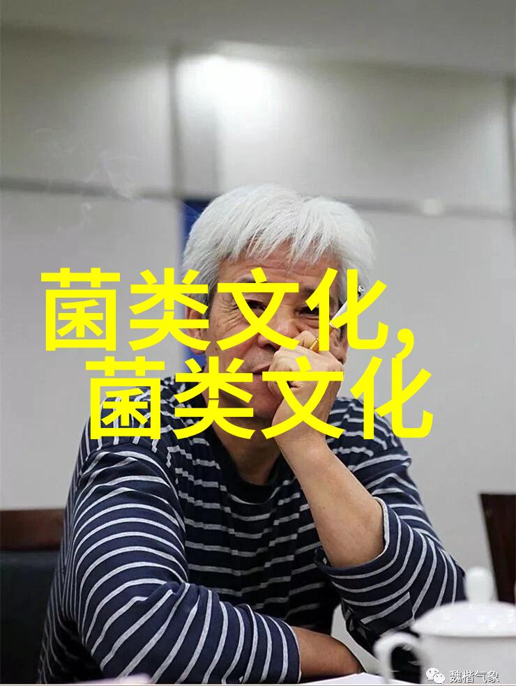 产蛋鸡的利用年限与淘汰时期