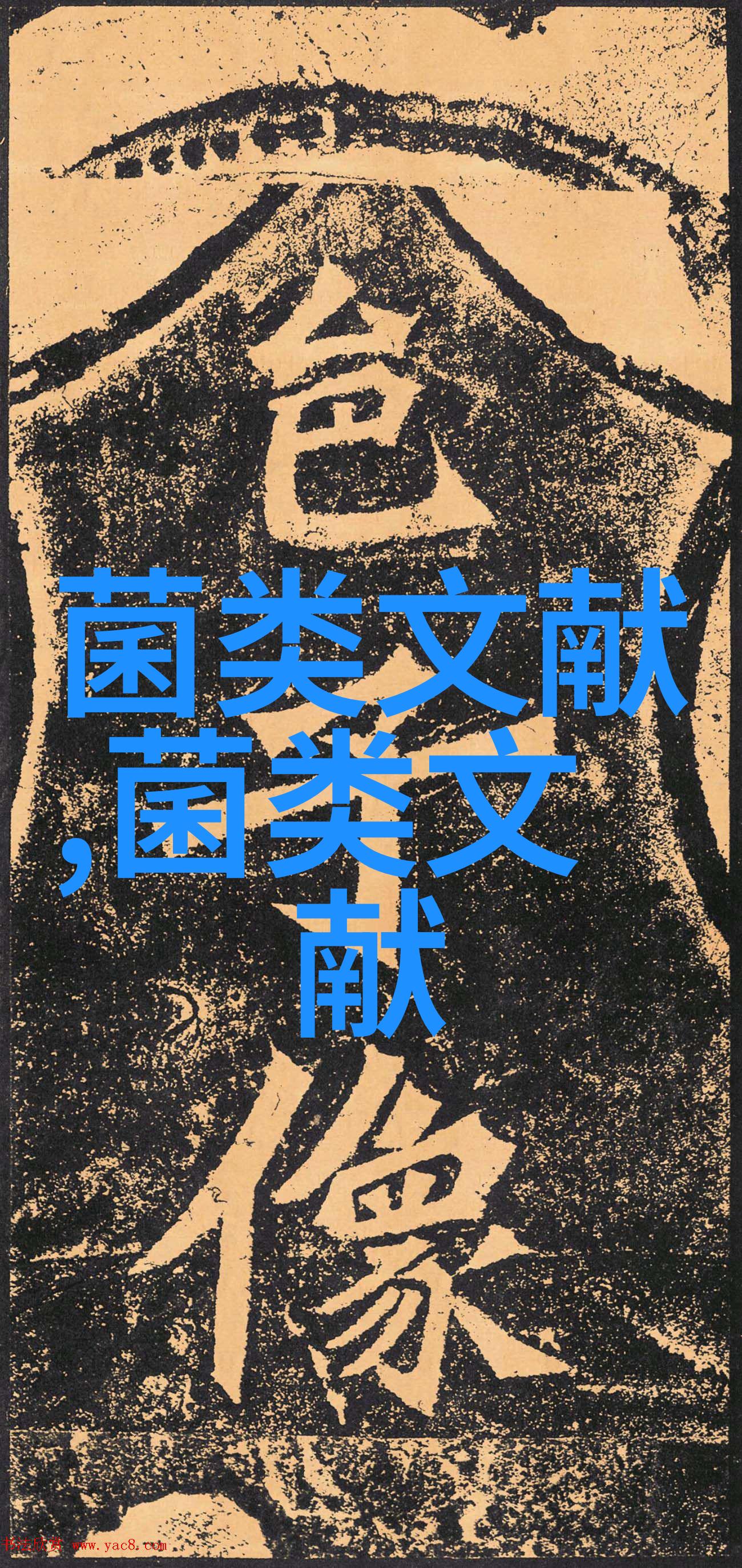 肉牛养殖成本和利润2022肉牛养殖成本和利润