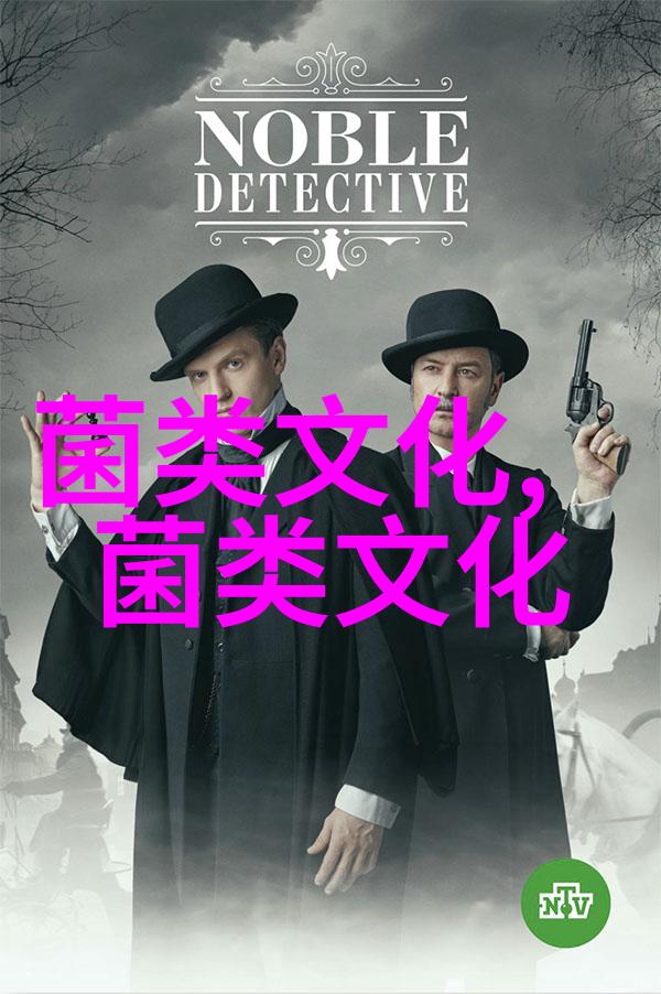 做好鸡疾病预防工作