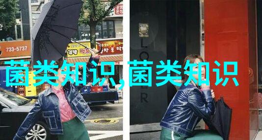 湖北南漳小香菇兴农出国门