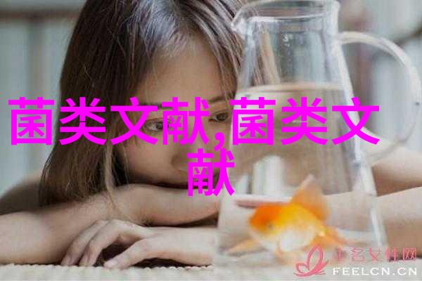 河南舞钢小菌菇撑起大产业 羊肚菌奏响乡村振兴丰收曲
